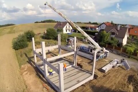 skelet 2