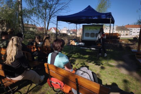 Kopie souboru IMG_20260417_170348